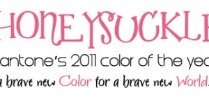 pantone's color of the year 2011