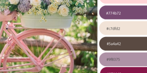 boutique website template colors